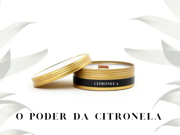 Proteção contra a Dengue natural: o poder do difusor de Citronela